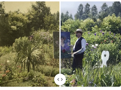 MyHeritage In Color Screenshot 1