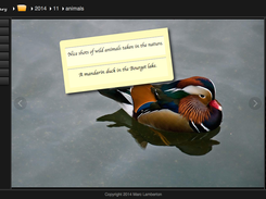 Browse photos and comments