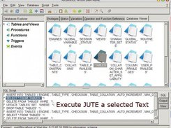 Execute just selected Text