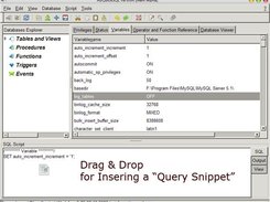 Drag and Drop Query Snippet