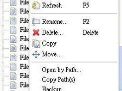 RSE popup menu with My RSE Extensions installed.
