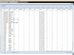 Mysql User Interface Screenshot 1