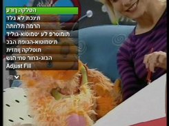 Recording options OSD -wrong- Hebrew letters left to right