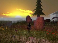 Sunset in the Enchanted Grove