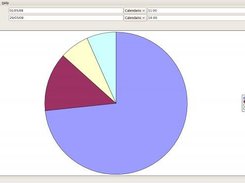 MyTime: Graph (Pie)