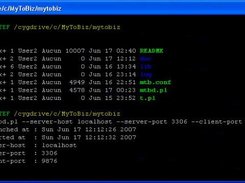 MyToBiz Daemon launched 