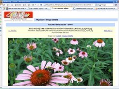 Image Viewer