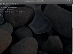 An instance of the server running in a Terminal