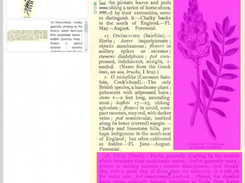 NAINUWA Screenshot 3