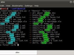 terminal
