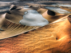 Namib Gnome