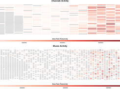 NanoR: channels and muxes activity