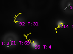 Tracking of the brownian motion of each particle