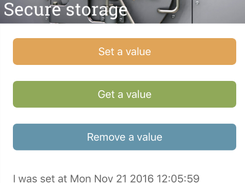 NativeScript Secure Storage plugin Screenshot 1