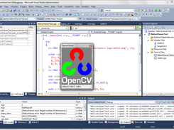 Thumbnail image in Visual Studio 2010