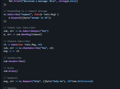NATS Go Client Screenshot 1