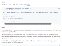 NATS HTTP Round Tripper Screenshot 1