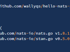 NATS Screenshot 2