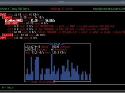 The ncurses GUI with the information window opened