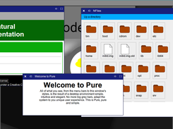 The desktop with some applications opened