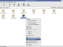 NaughtySVN popup menu on right-click