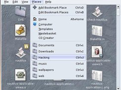 GTK Bookmarks integrated into places