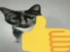 me wen find new tester