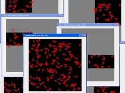 Simulation with graphics enabled. 6 clients + 1 server.