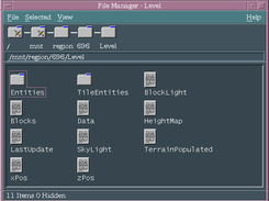 Browsing a chunk in CDE File Manager