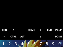 ncdos Screenshot 2
