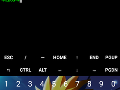 Main menu