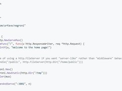 Static middleware example