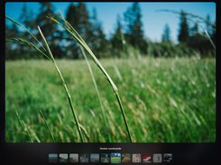 Gallery  Preview