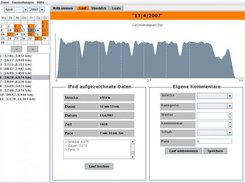 View of a single run in the Original-Orange-Colorscheme