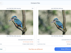 Nektony Duplicate File Finder Screenshot 6