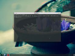 32 bit pae
