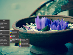 Auto-updating Menu