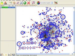 Cyclone exports graphs to Cytoscape