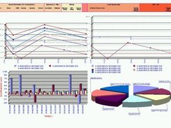 Example - Report contains table and charts