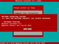 Neptune displaying system information