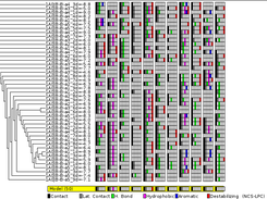 Fingerprints generated from vina output with NCS-LPC. Graphical representation of expanded view generated with NCS-Plot