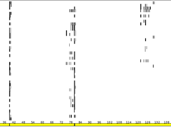 Fingerprints generated from vina output with NCS-LPC. Graphical representation generated with NCS-Plot
