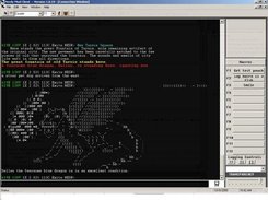 Screenshot of Client