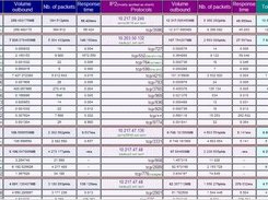 Details on traffic for a selected period for all IP pairs