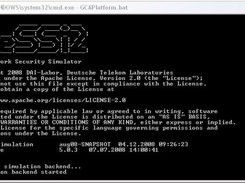 Launched simulation backend