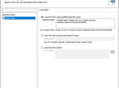 Specify the LoadAssembly Options