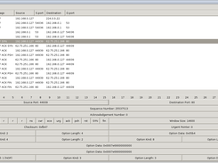 Examining TCP in IPv4 network dump