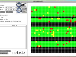 Netviz showing Google servers