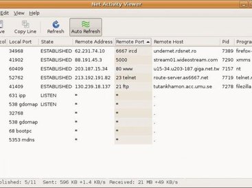 Net Activity Viewer
