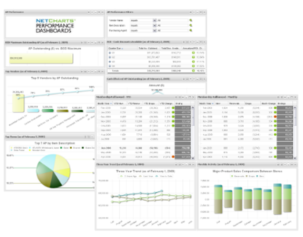 NetCharts Dashboards Screenshot 1